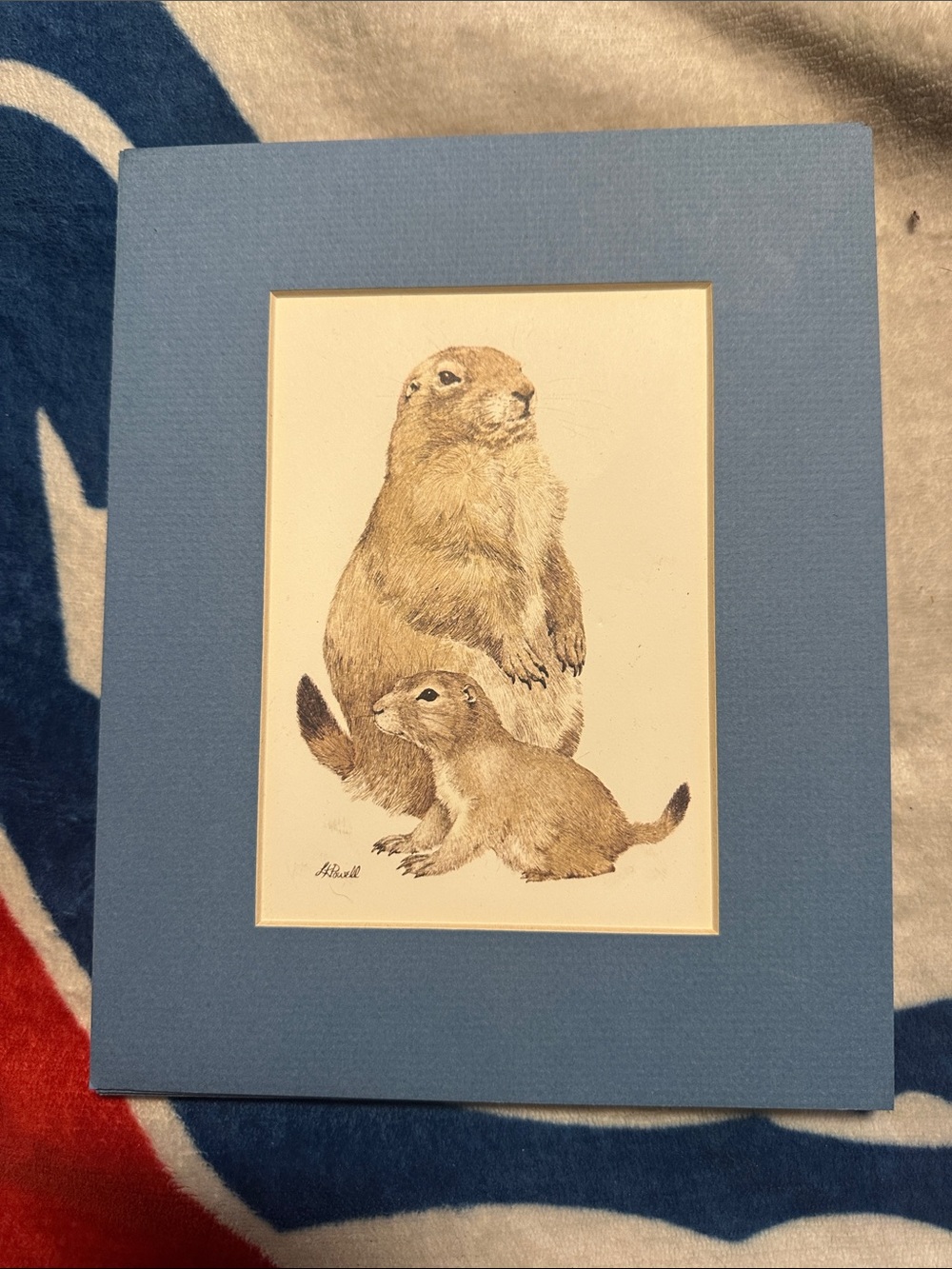 Wild life Wall Art Print in Light Blue Mat